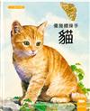 貓